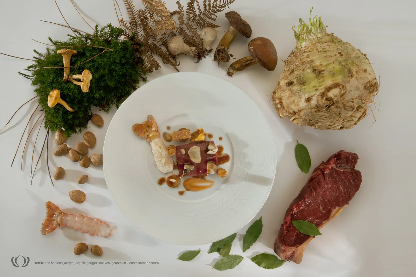 Le Marron herfstgerecht met paddenstoelen, knolselderij en vlees
