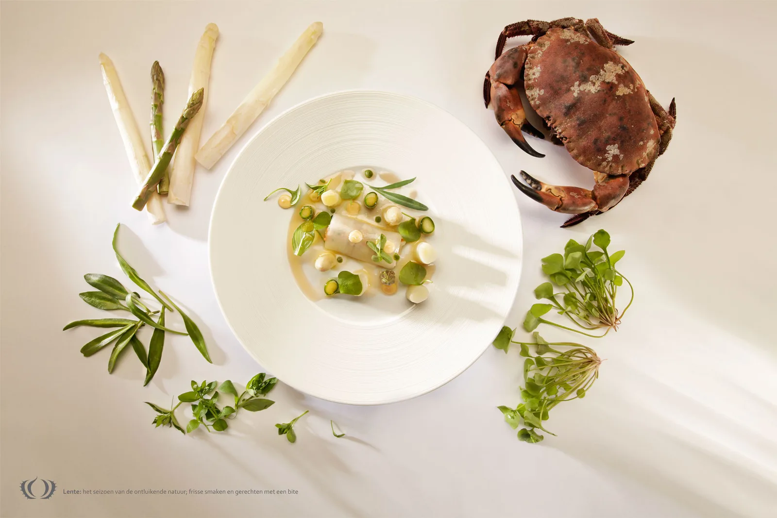 Le Marron lentegerecht met asperges, krab en kruiden rond het bord