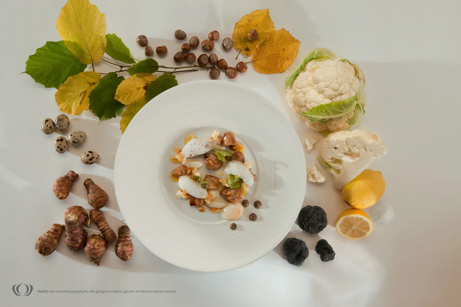 Le Marron wintergerecht met hazelnoten, bloemkool en kwarteleitjes